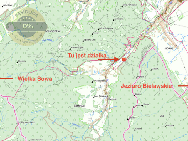 Działka Sprzedaż Pieszyce